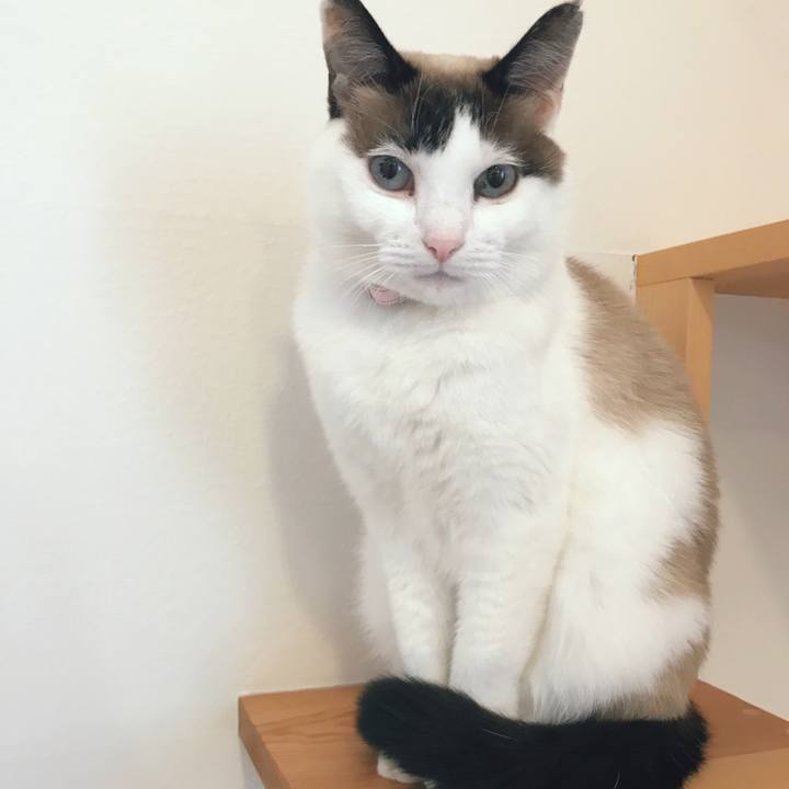 7704ff2a 630a 4b6b afef 361c8a75279d 1518074688033