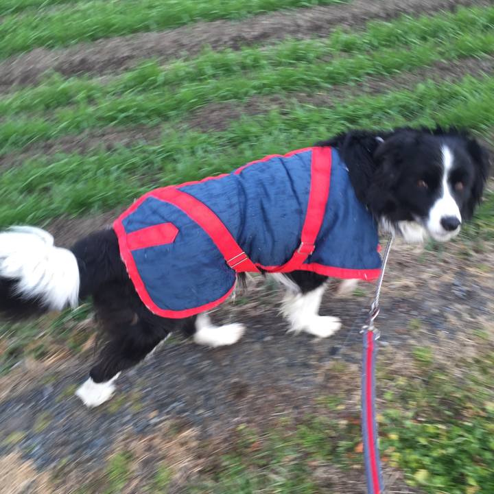 770513a0 14ea 4d3b b308 76999d36e915 1548460304683