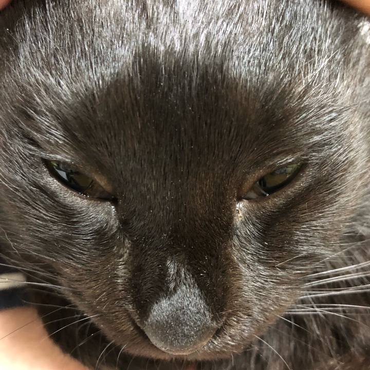 77057880 41ee 4fab be98 e2073405879e 1590233214951