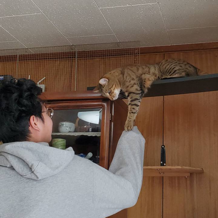 77059374 f914 4bb1 9889 8a2f125a7ac0 1704898545152