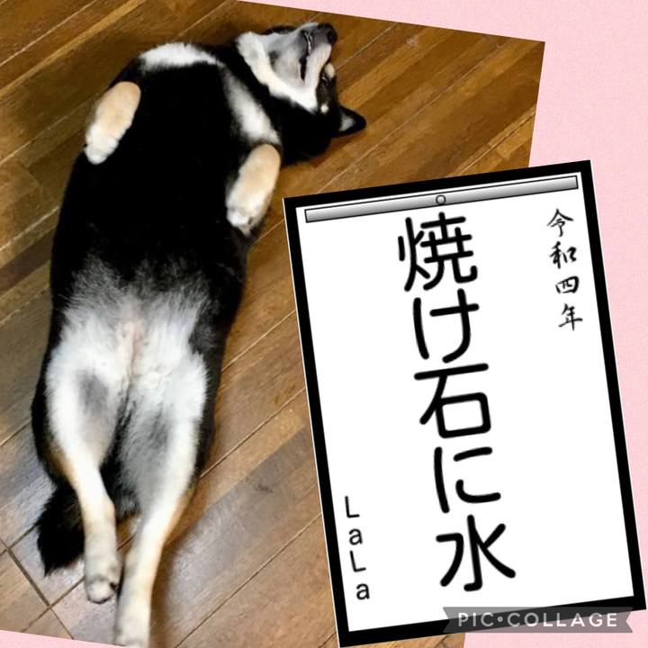 7705ecc9 52ba 4fad b0ed ff87b5dd7f2c 1641263584147