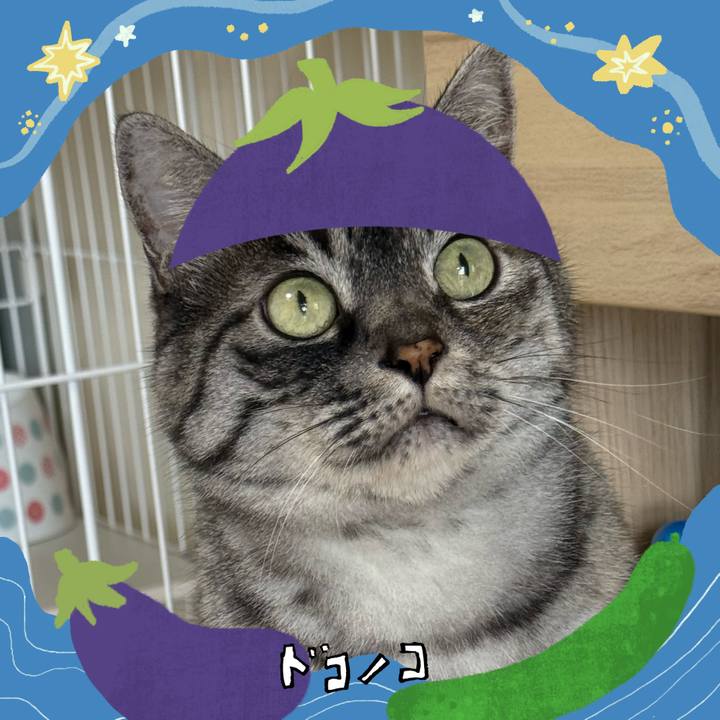 77061ee0 597f 41c4 b01c 33cf495bee2d 1755238154351