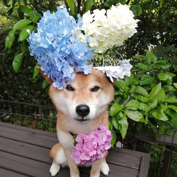 77063340 4e28 4bff 89e8 a7a3546c0294 1592700508576