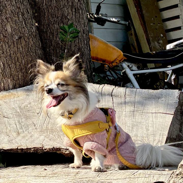 77063eae 4410 434b b9f1 d9ac1eaf8f14 1763681760511