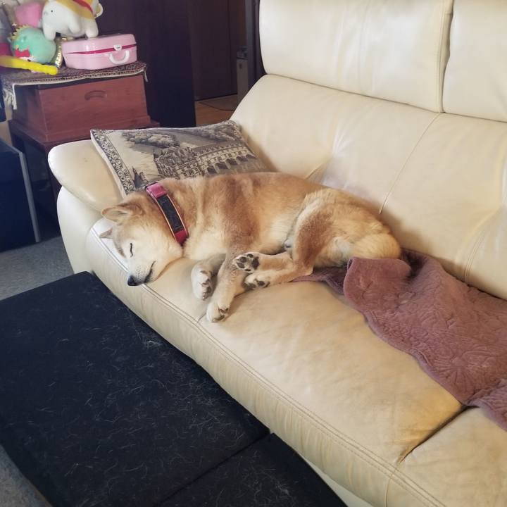 77067ac4 1a9e 4ec3 9a46 9f7efe4578a1 1739837987504