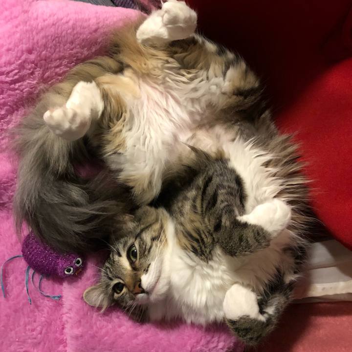 77069cec e645 4bae 95dc d1d8282038de 1515299727202