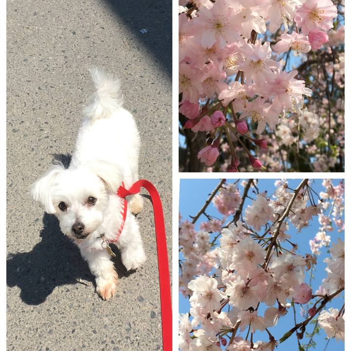 7706a321 fda9 4901 b006 8308bc4675f7 1586415962307