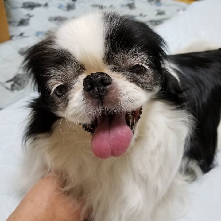 7706d4dc 4094 4a63 82c9 5cb8f6dc7c42 1531052303310