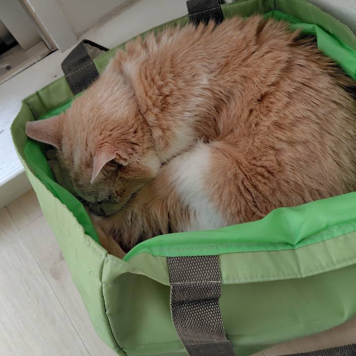 7706e7ec a691 4532 b326 d34d401a6f87 1759210175696