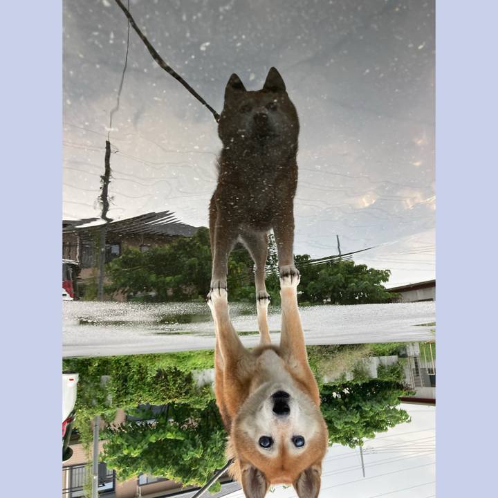 77070608 41c9 432b 93e2 4218675e932c 1725784682166