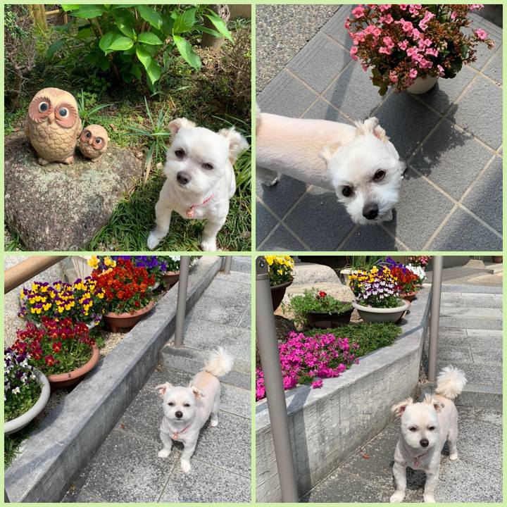 77072271 3783 41e9 9d84 ed9a8a2d20c7 1587445540375