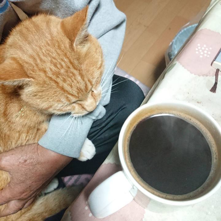 770760c5 c099 4b73 a8ec 5ec0e9ebcdde 1602791497756