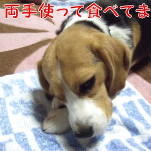 77076247 db2c 4938 bfa0 addc1793f0bb 1712789027892