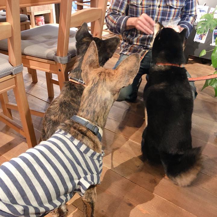 77076699 c0f4 4fb4 9439 cc03de353ec1 1573981810706