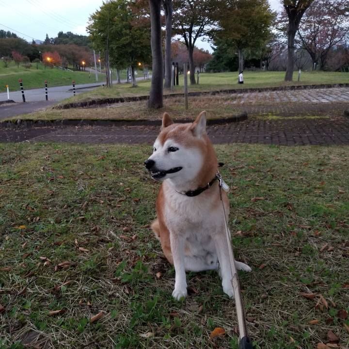 77078c48 cd3f 475b 8383 ba00ab387227 1665734873397