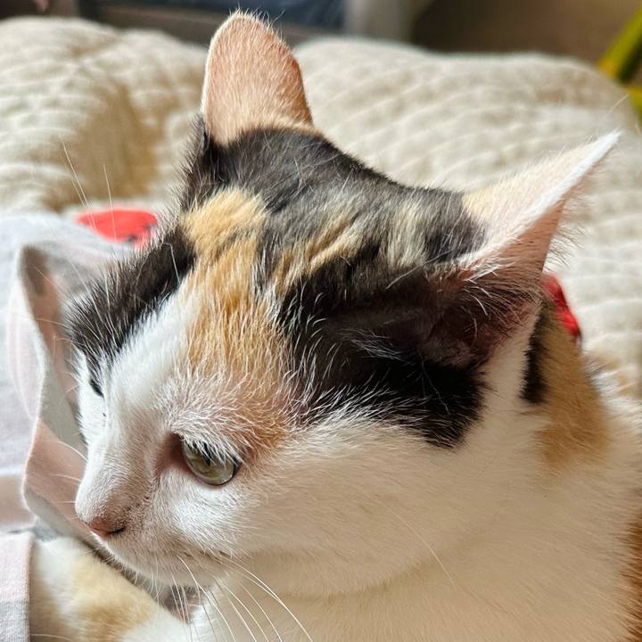 7707a442 d221 4ba8 a376 b914983298a8 1720227978986