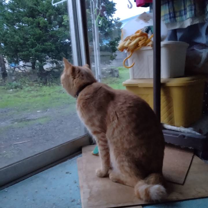 7707ba9b 2d95 42b2 9cdc dce604f5c216 1665350882658