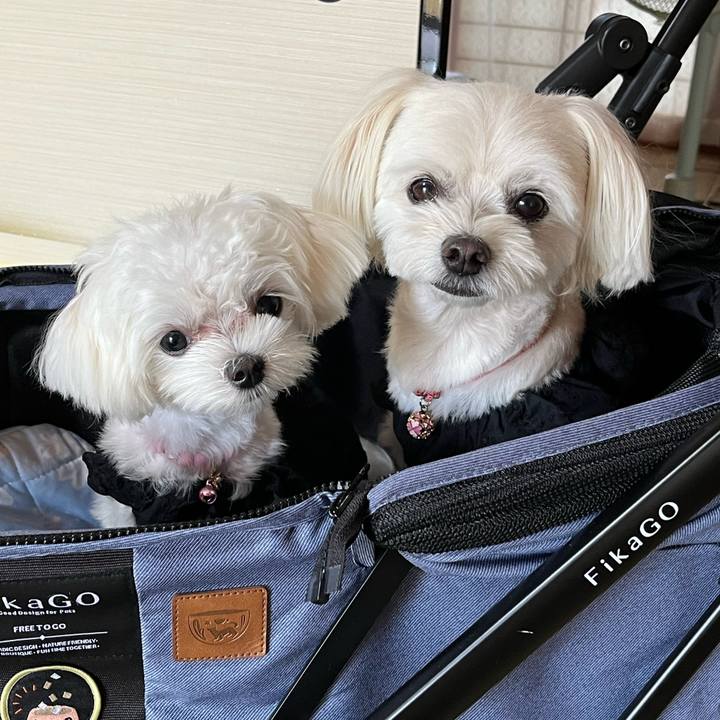 7707e42c 7962 4671 952b bafea9bda91c 1721554077365