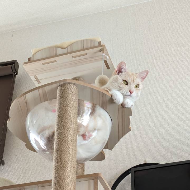 770806f2 09f0 478c a0e4 405c43c23340 1693443226567