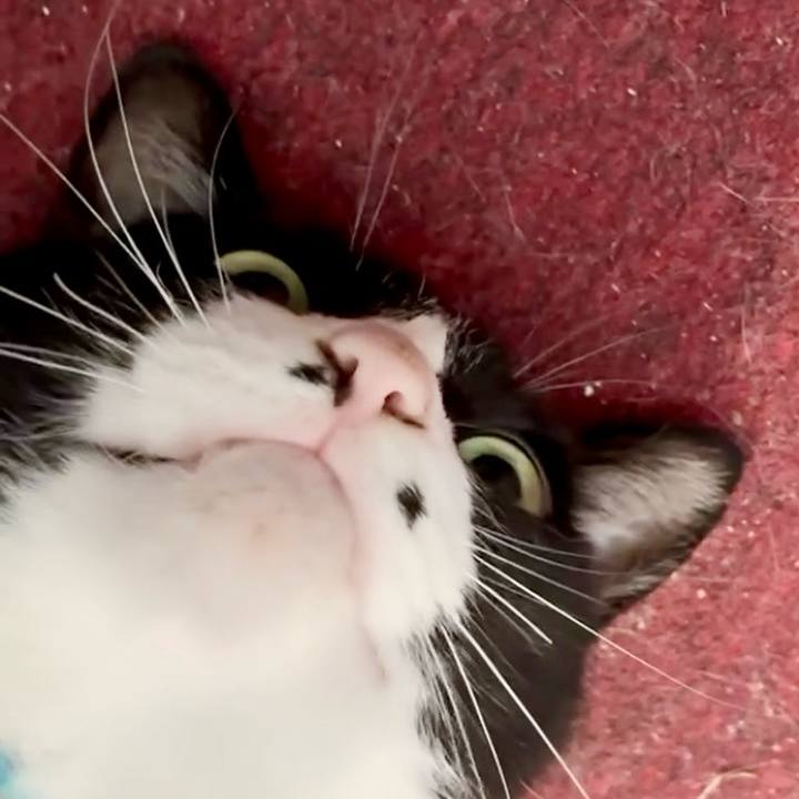 7708330a 0322 4a0b b37e acb0f1866527 1747797192111