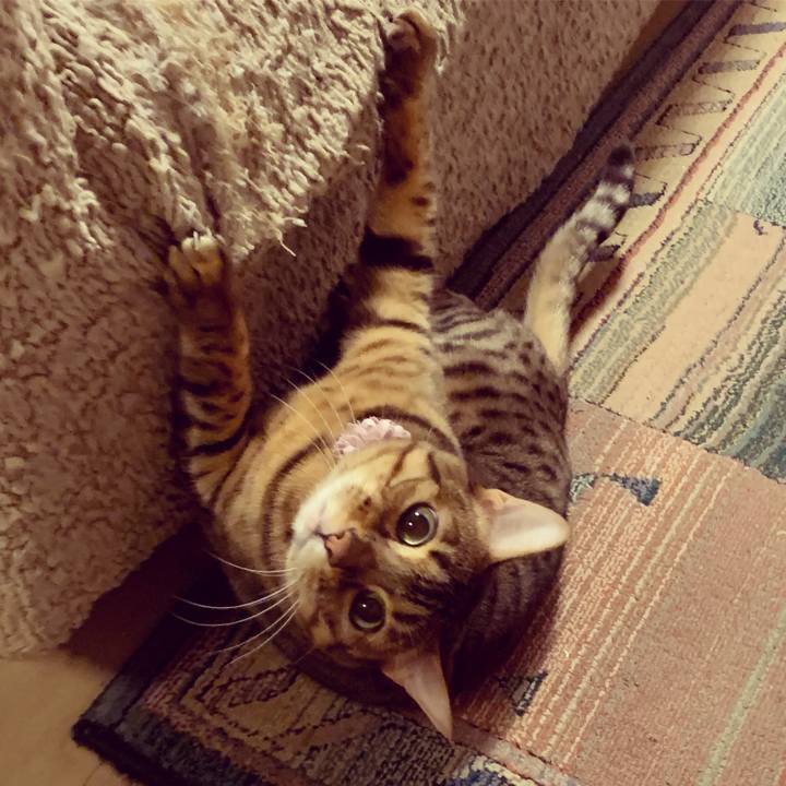 7708342b 54d8 4571 ad5c 733fa95bab4e 1548971196621