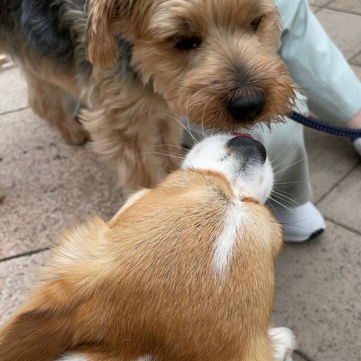 7708357a 44b4 4ae2 a4f0 5045c2abe400 1651381812022