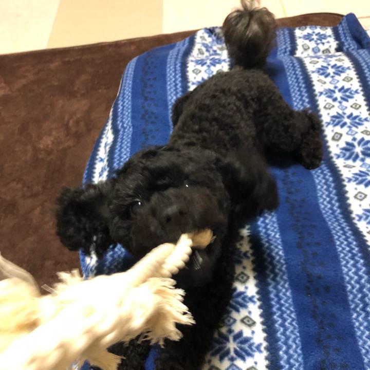 77084917 e094 41d5 a338 53d99ac589bb 1556108355134