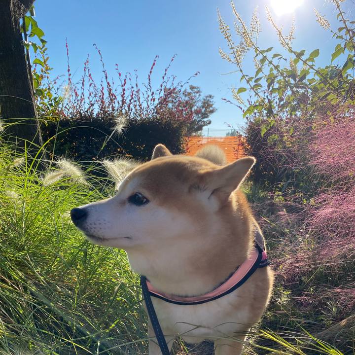 77084cdb 4131 45a0 ab7c 5fe97235f3e8 1635082359801