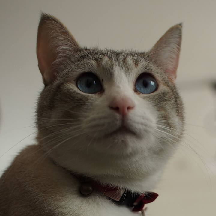 7708542b 018d 4c51 beb4 f5ef28392f12 1554130684170