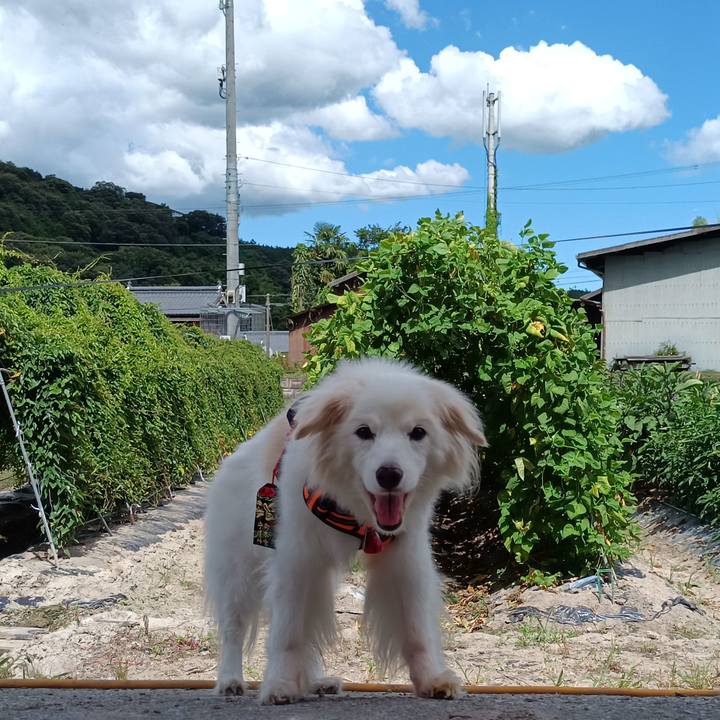 770869a9 1109 4144 9c17 259e14512a35 1753432526699