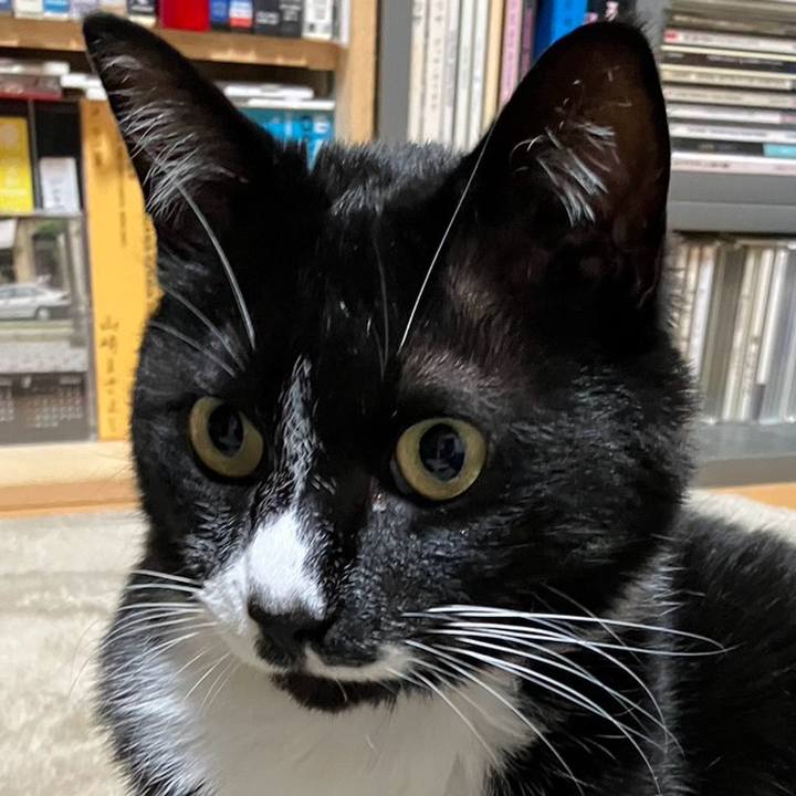 77087227 36f2 493b aab0 6cef17bd097e 1722224654356