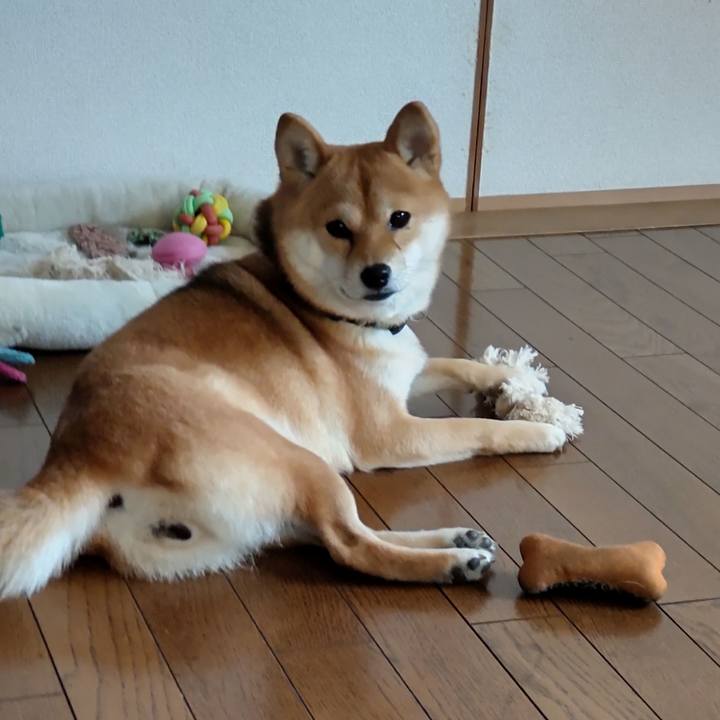 7708843e a64e 450a 9b22 5998249149bb 1637882487721