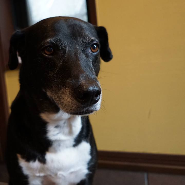 77088739 d287 4319 807b d03d1730e515 1757635281722