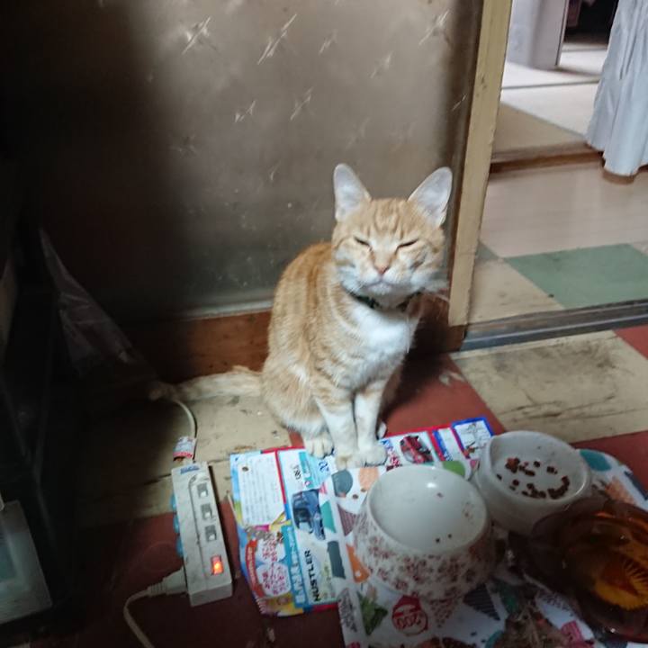 7708c9ea ca72 49b1 9cca 46a992bf6692 1592422538915