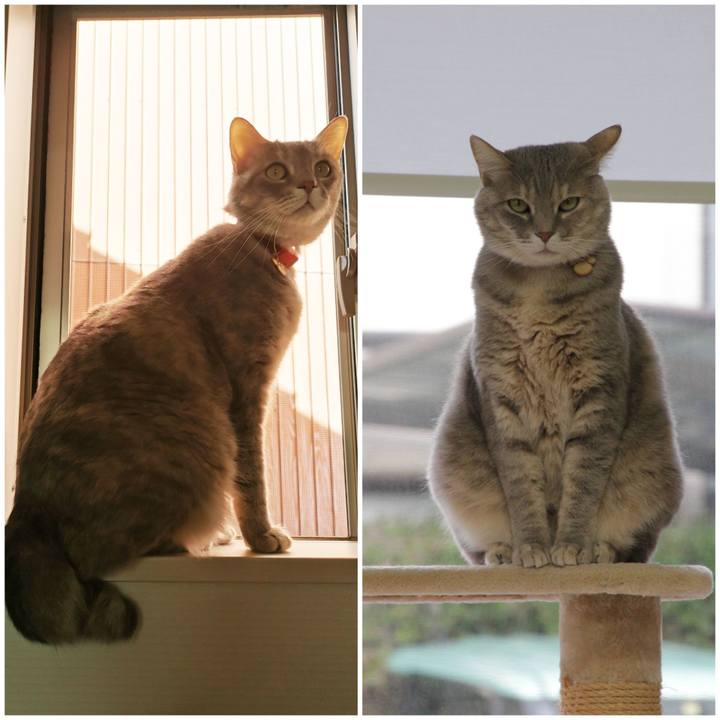 7708d497 8ba1 45bb 941f 6f24fe8d75a0 1619494700019