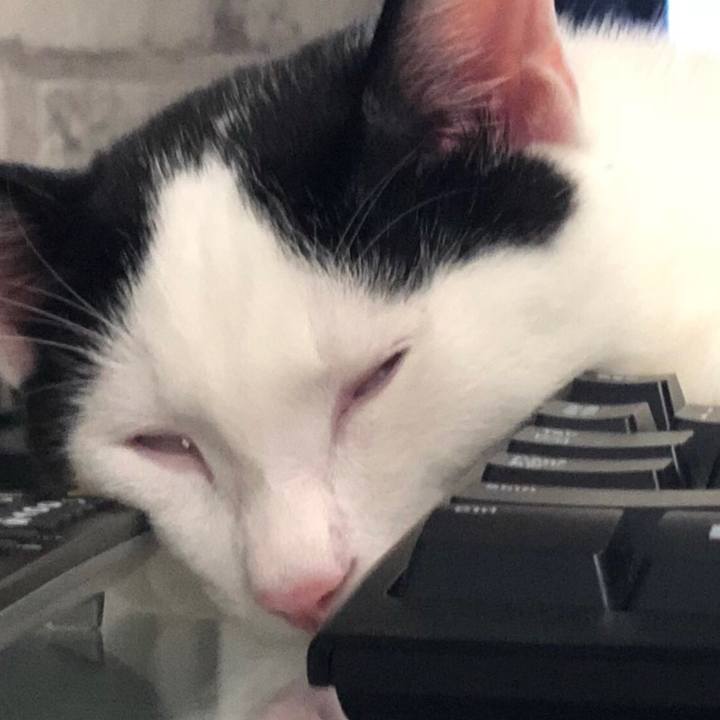 7709025b 693f 4f5e 9529 4d9cadd6d4b8 1534332803357