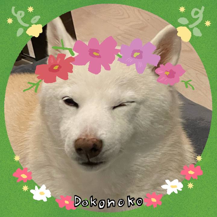 77091287 9aef 416e 9833 6fbe4616f089 1726912754371