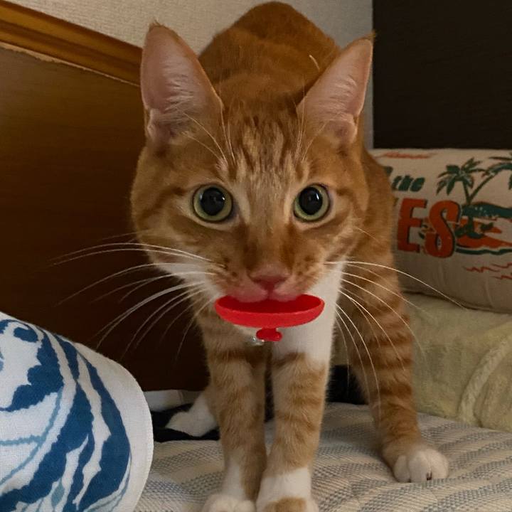 77092b60 0e48 46d9 9679 e9af46a076a9 1627808496772