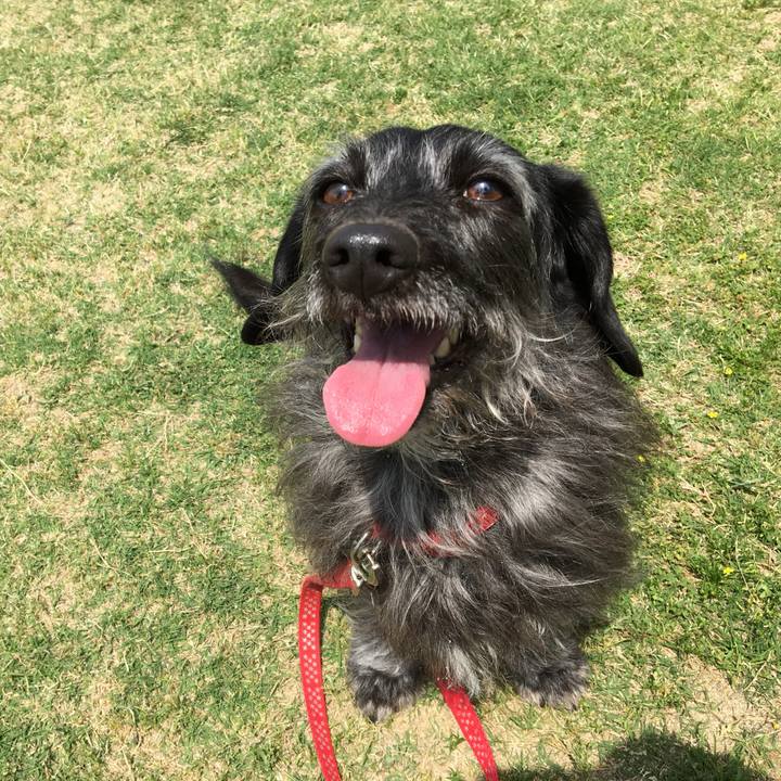 77099415 fde4 4306 b305 75f033263ca0 1759100702012