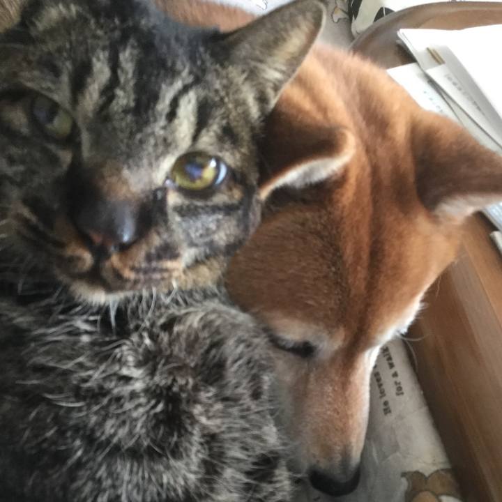 7709988d 01ad 46fe 97fb 109e31b7be3d 1614830319911