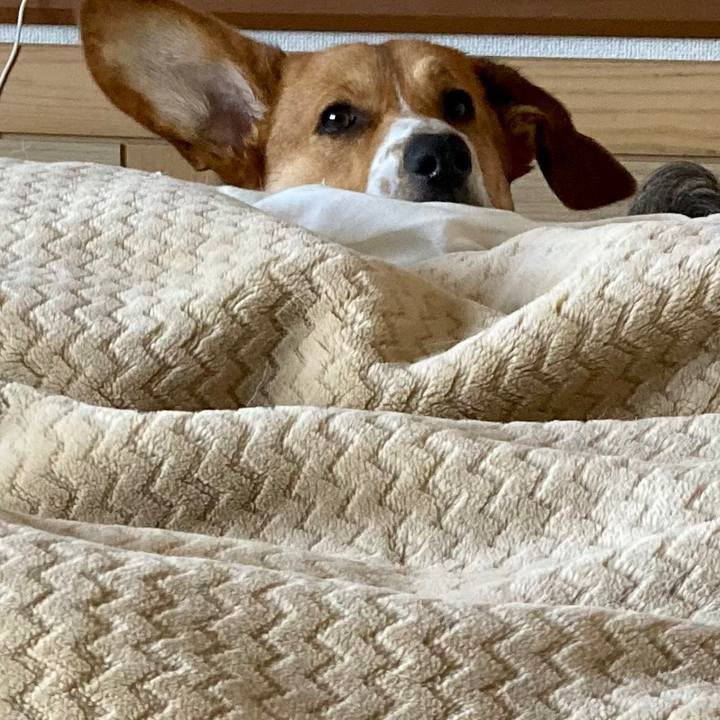 7709a77e 65fc 498b b275 3ebbcbff6a0e 1640484563068