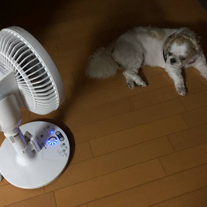 7709bf7f 6263 4d9a a270 ec06a388d4b5 1594173388405