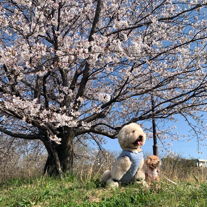 7709ed16 d417 424a 98f3 0da6d365a248 1774832563984