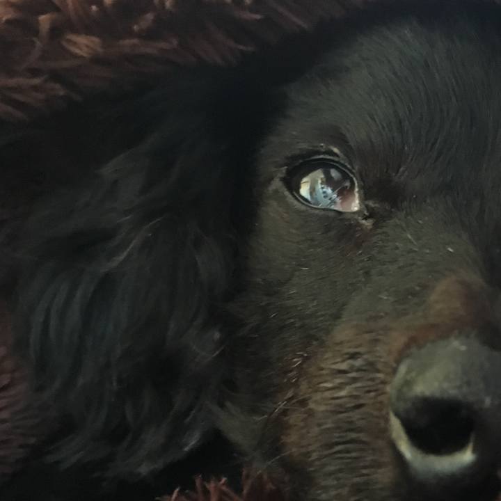 7709fd33 3f8e 4df8 ae26 d39f86a6f5bc 1520656656341