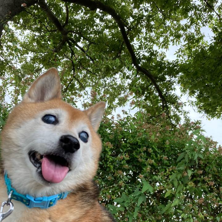 770a2025 0e95 4605 90bd e0924ae53d17 1754012340358