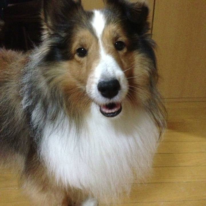 770a23af 1709 439e 876b cbed966e7543 1705397267081