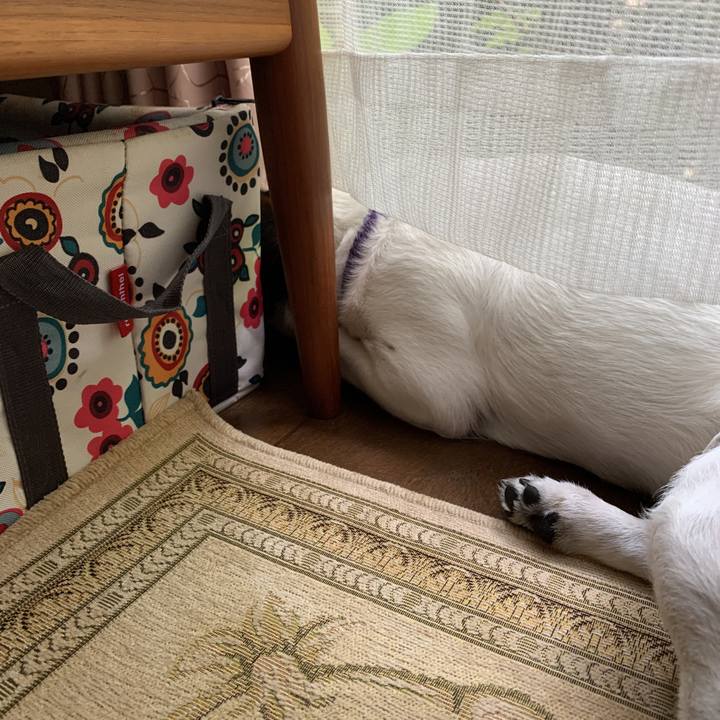 770a2415 2428 40ee bfd5 02211a812e19 1588654623911