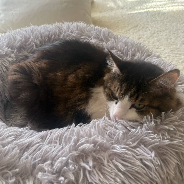 770a3a06 8f49 4877 99c0 83ac413e53f9 1740093417961