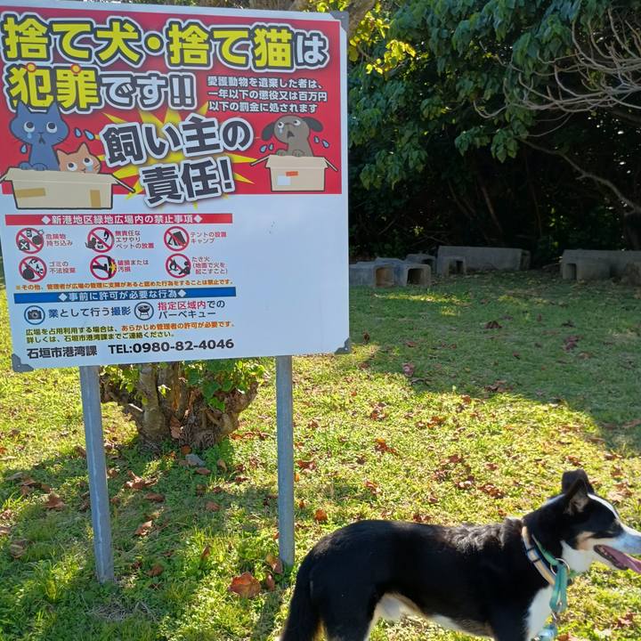 770a70a1 1d3e 4390 adf0 917b5dcad4c9 1773930491683