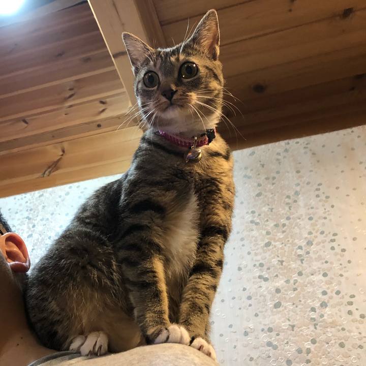 770a7c52 ccf7 47ad a99a f9313649569a 1607603500902